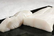 Toothfish