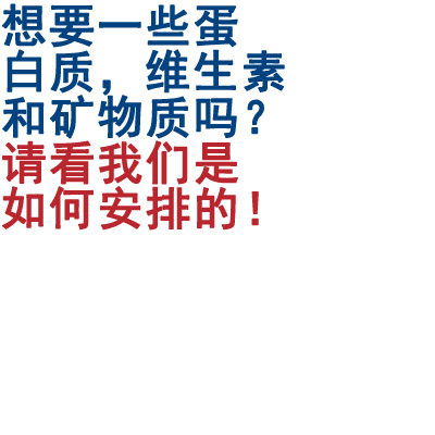 想要一些蛋白质，维生素和矿物质吗？请看我们是如何安排的！